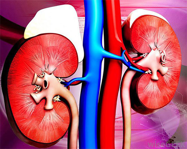 Khi bạn uống nước rồi những vẫn cảm thấy khát: Hãy cảnh giác với 5 căn bệnh nguy hiểm - 5 Khi bạn uống nước rồi những vẫn cảm thấy khát: Hãy cảnh giác với 5 căn bệnh nguy hiểm - 5