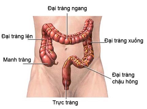 Căn bệnh khiến ‘người tình âm nhạc’ của Long Nhật qua đời tuổi 44 nguy hiểm như nào? - 1 Căn bệnh khiến ‘người tình âm nhạc’ của Long Nhật qua đời tuổi 44 nguy hiểm như nào? - 1