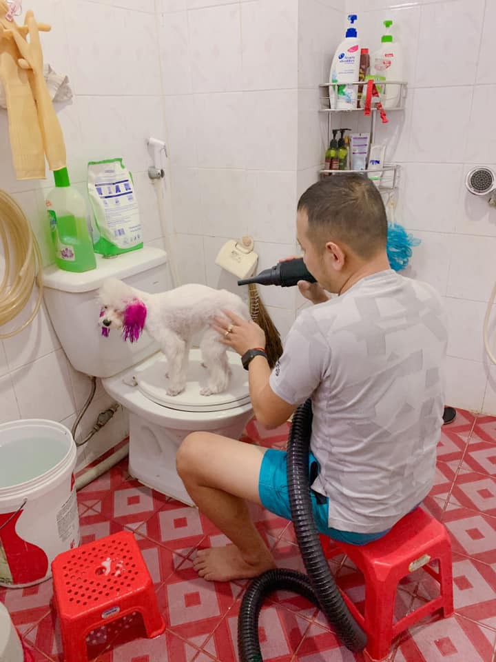 Góc nuôi ong tay áo: Mang theo cún cưng về nhà chồng, vợ trẻ cay đắng phát hiện bị 'cướp' chồng lúc nào chẳng hay - 14 Góc nuôi ong tay áo: Mang theo cún cưng về nhà chồng, vợ trẻ cay đắng phát hiện bị 'cướp' chồng lúc nào chẳng hay - 14