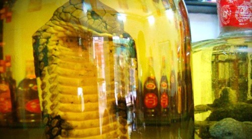 Rượu 'ông uống, bà khen' Rượu 'ông uống, bà khen'