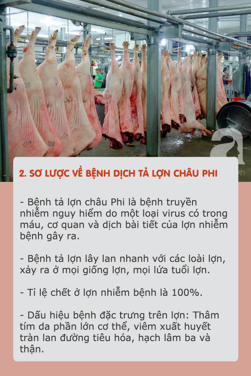 Dịch tả lợn châu Phi hoành hành: Tất cả thông tin cần biết và cách chọn, chế biến thịt an toàn khi đang có dịch - 1 Dịch tả lợn châu Phi hoành hành: Tất cả thông tin cần biết và cách chọn, chế biến thịt an toàn khi đang có dịch - 1