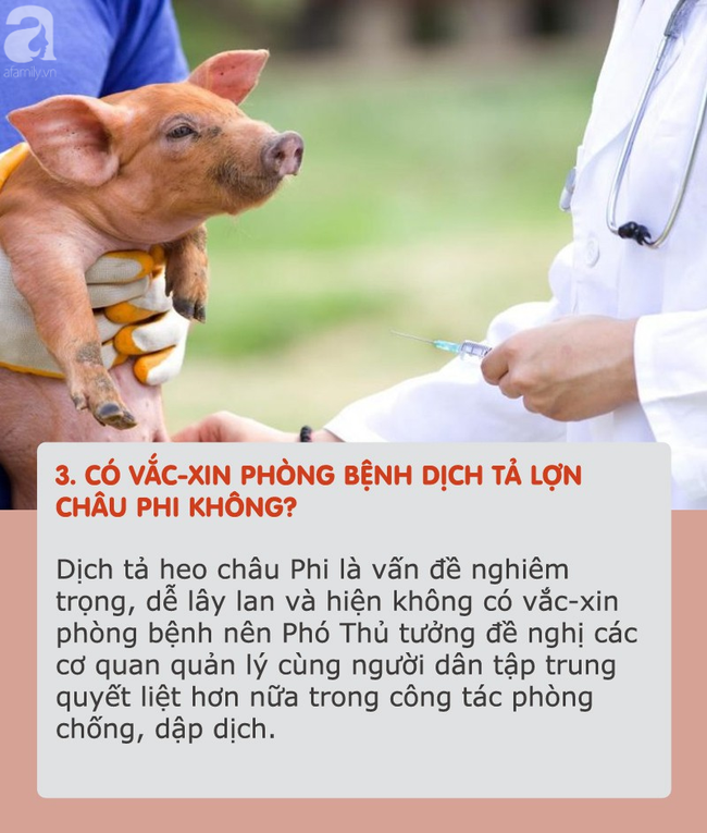Dịch tả lợn châu Phi hoành hành: Tất cả thông tin cần biết và cách chọn, chế biến thịt an toàn khi đang có dịch - 2 Dịch tả lợn châu Phi hoành hành: Tất cả thông tin cần biết và cách chọn, chế biến thịt an toàn khi đang có dịch - 2