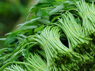 Hien Rau Cách phát hiện rau xanh ngậm thuốc