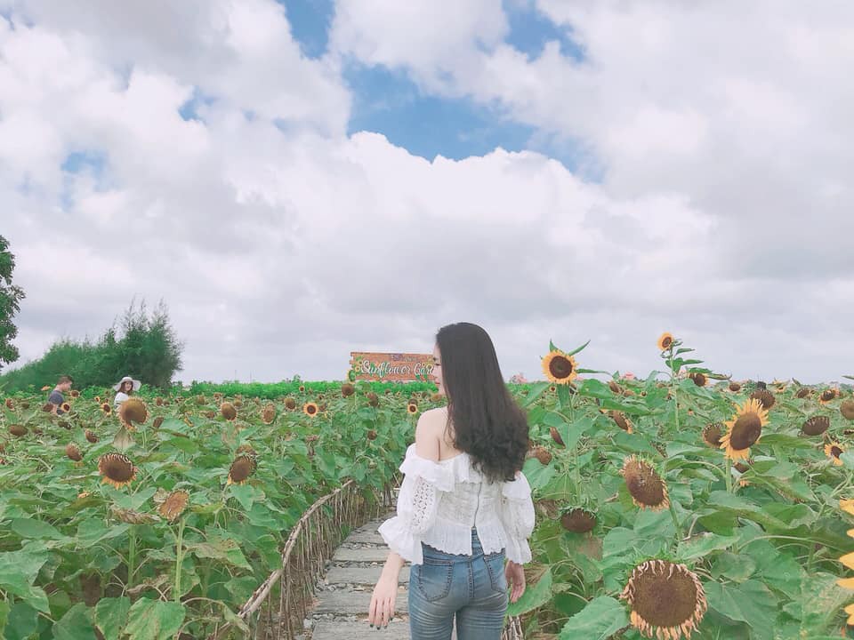 Trời nắng như đổ lửa vẫn quyết tâm ra vườn hoa hướng dương chụp ảnh một cách đầy nghị lực, cô gái trẻ nhận cái kết không thể đắng hơn - 3 Trời nắng như đổ lửa vẫn quyết tâm ra vườn hoa hướng dương chụp ảnh một cách đầy nghị lực, cô gái trẻ nhận cái kết không thể đắng hơn - 3
