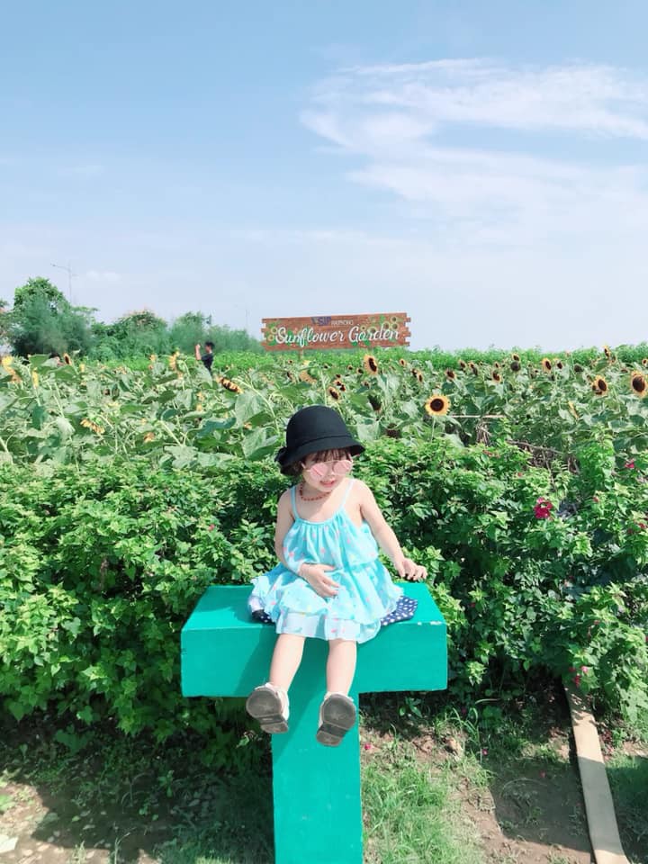 Trời nắng như đổ lửa vẫn quyết tâm ra vườn hoa hướng dương chụp ảnh một cách đầy nghị lực, cô gái trẻ nhận cái kết không thể đắng hơn - 4 Trời nắng như đổ lửa vẫn quyết tâm ra vườn hoa hướng dương chụp ảnh một cách đầy nghị lực, cô gái trẻ nhận cái kết không thể đắng hơn - 4
