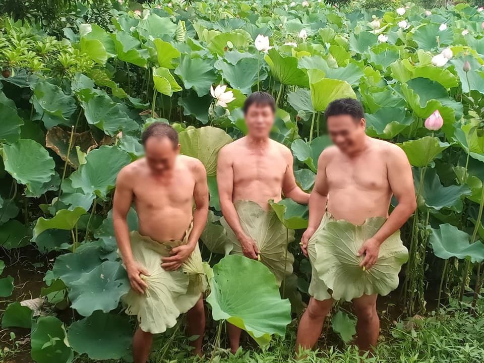 Hết chị gái lại đến các anh trai khỏa thân chụp ảnh cùng sen, là trào lưu hay là những trò lố? - 1 Hết chị gái lại đến các anh trai khỏa thân chụp ảnh cùng sen, là trào lưu hay là những trò lố? - 1