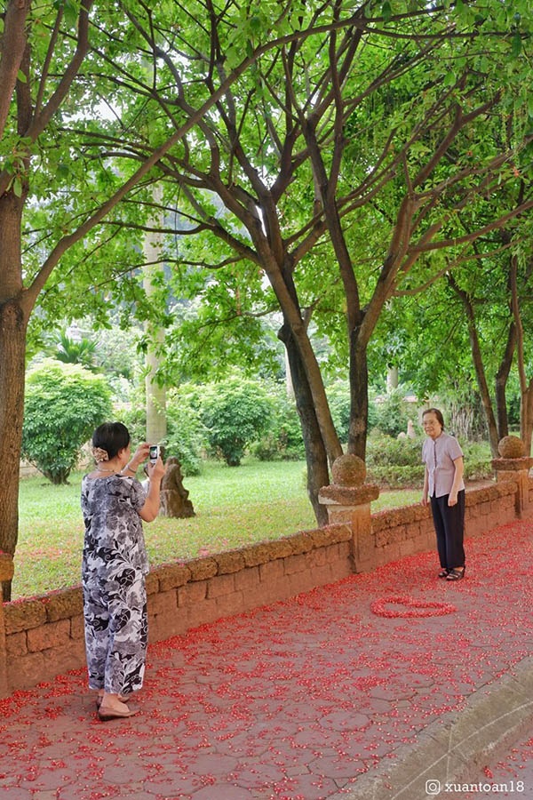 'Con đường tình yêu' ngập tràn sắc đỏ đầy lãng mạn tại ĐH Sư phạm Hà Nội - 6 'Con đường tình yêu' ngập tràn sắc đỏ đầy lãng mạn tại ĐH Sư phạm Hà Nội - 6