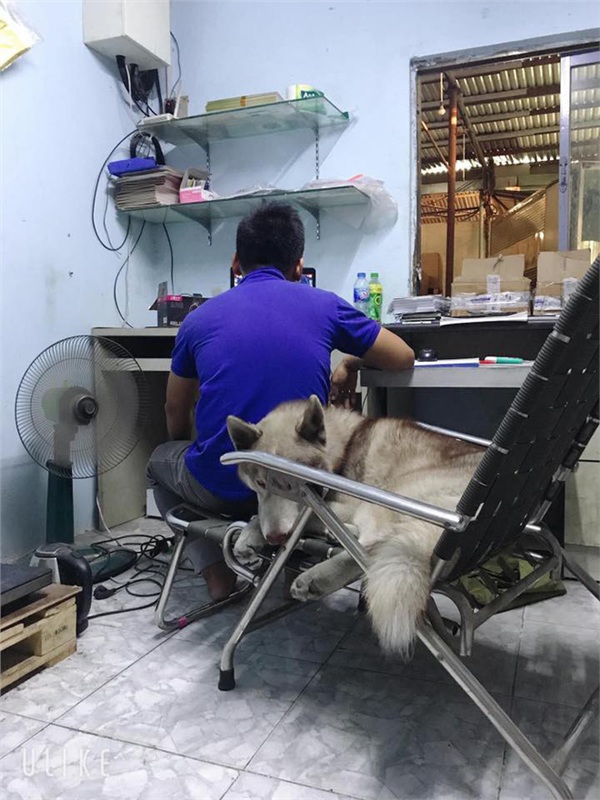 Cô vợ bất lực vì bị 'kẻ thứ ba' tranh sủng, dân mạng còn bênh anh chồng: 'Thôi chấp nhận đi!' - 2 Cô vợ bất lực vì bị 'kẻ thứ ba' tranh sủng, dân mạng còn bênh anh chồng: 'Thôi chấp nhận đi!' - 2
