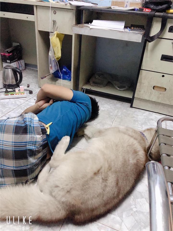 Cô vợ bất lực vì bị 'kẻ thứ ba' tranh sủng, dân mạng còn bênh anh chồng: 'Thôi chấp nhận đi!' - 1 Cô vợ bất lực vì bị 'kẻ thứ ba' tranh sủng, dân mạng còn bênh anh chồng: 'Thôi chấp nhận đi!' - 1