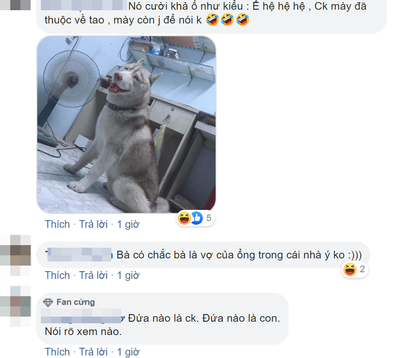 Cô vợ bất lực vì bị 'kẻ thứ ba' tranh sủng, dân mạng còn bênh anh chồng: 'Thôi chấp nhận đi!' - 7 Cô vợ bất lực vì bị 'kẻ thứ ba' tranh sủng, dân mạng còn bênh anh chồng: 'Thôi chấp nhận đi!' - 7