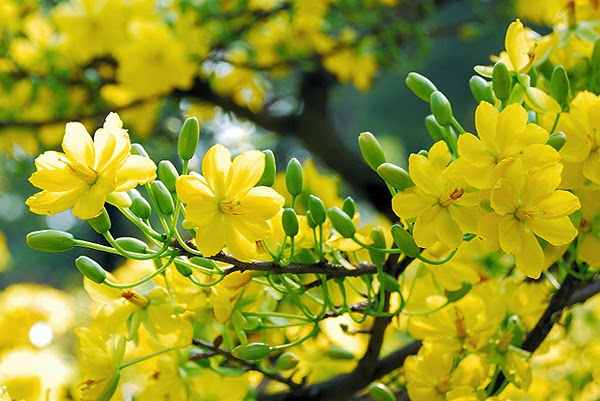 Nên 'yêu' nhiều vào mùa nào? Nên 'yêu' nhiều vào mùa nào?