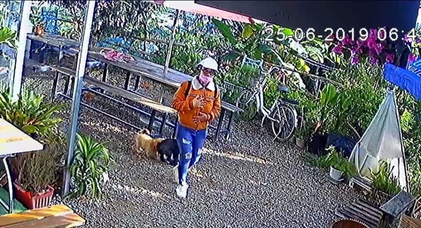Cặp nam nữ thản nhiên bẻ hàng rào rồi vào quán cà phê 'bế hộ' chú chó của chủ quán - 4 Cặp nam nữ thản nhiên bẻ hàng rào rồi vào quán cà phê 'bế hộ' chú chó của chủ quán - 4