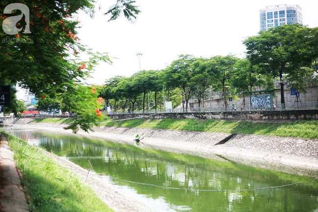Chùm ảnh: Qua rồi thời đen đúa vẩn đục, giờ đây nước sông Tô Lịch đổi màu xanh rêu đẹp đến ngỡ ngàng - 8 Chùm ảnh: Qua rồi thời đen đúa vẩn đục, giờ đây nước sông Tô Lịch đổi màu xanh rêu đẹp đến ngỡ ngàng - 8