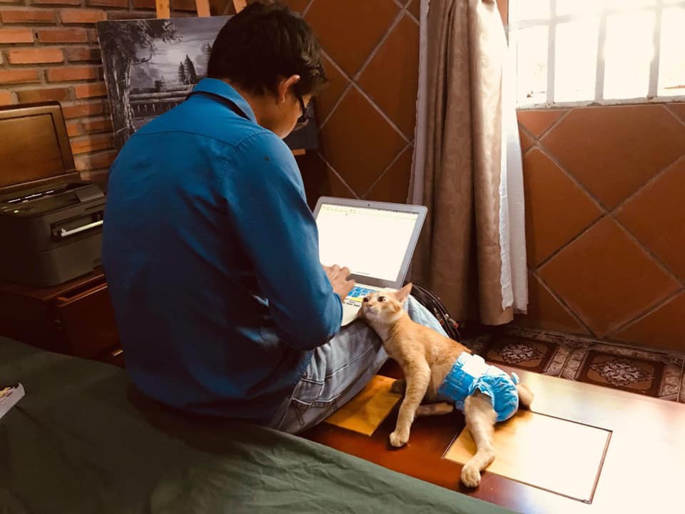 Xúc động với câu chuyện đằng sau hình ảnh 'boss mèo đóng bỉm' ai cũng tưởng sang chảnh, sung sướng - 1 Xúc động với câu chuyện đằng sau hình ảnh 'boss mèo đóng bỉm' ai cũng tưởng sang chảnh, sung sướng - 1