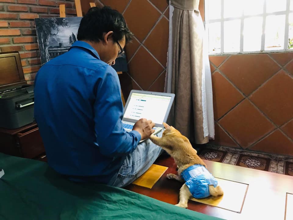 Xúc động với câu chuyện đằng sau hình ảnh 'boss mèo đóng bỉm' ai cũng tưởng sang chảnh, sung sướng - 2 Xúc động với câu chuyện đằng sau hình ảnh 'boss mèo đóng bỉm' ai cũng tưởng sang chảnh, sung sướng - 2