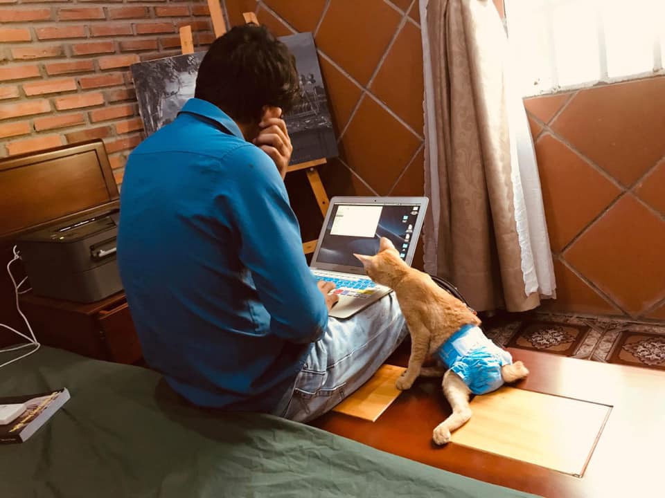 Xúc động với câu chuyện đằng sau hình ảnh 'boss mèo đóng bỉm' ai cũng tưởng sang chảnh, sung sướng - 3 Xúc động với câu chuyện đằng sau hình ảnh 'boss mèo đóng bỉm' ai cũng tưởng sang chảnh, sung sướng - 3