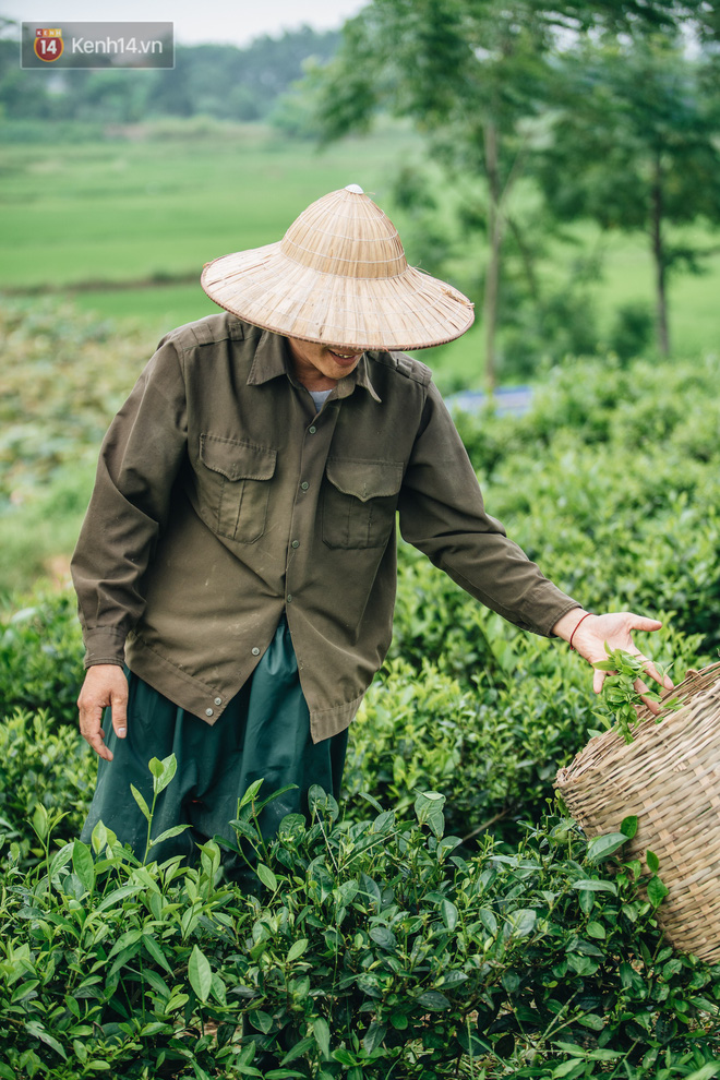 Cử nhân báo chí khởi nghiệp trà sen với 20 triệu mẹ dành mua xe máy: 'Con không thích đi làm, con muốn về nhà' - 9 Cử nhân báo chí khởi nghiệp trà sen với 20 triệu mẹ dành mua xe máy: 'Con không thích đi làm, con muốn về nhà' - 9