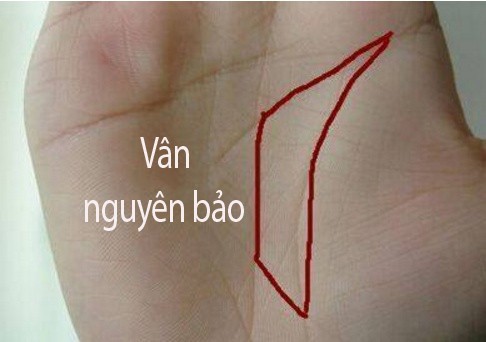 Phụ nữ sở hữu tướng tay này, trời sinh định sẵn có số hưởng, cuộc sống trung vận phất lên như diều gặp gió, hậu vận giàu có hạnh phúc - 2 Phụ nữ sở hữu tướng tay này, trời sinh định sẵn có số hưởng, cuộc sống trung vận phất lên như diều gặp gió, hậu vận giàu có hạnh phúc - 2