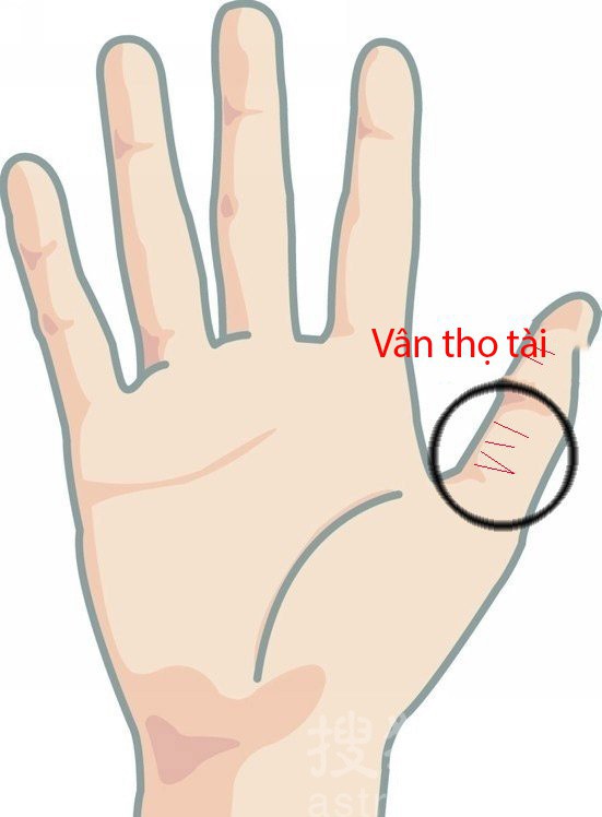Phụ nữ sở hữu tướng tay này, trời sinh định sẵn có số hưởng, cuộc sống trung vận phất lên như diều gặp gió, hậu vận giàu có hạnh phúc Phụ nữ sở hữu tướng tay này, trời sinh định sẵn có số hưởng, cuộc sống trung vận phất lên như diều gặp gió, hậu vận giàu có hạnh phúc