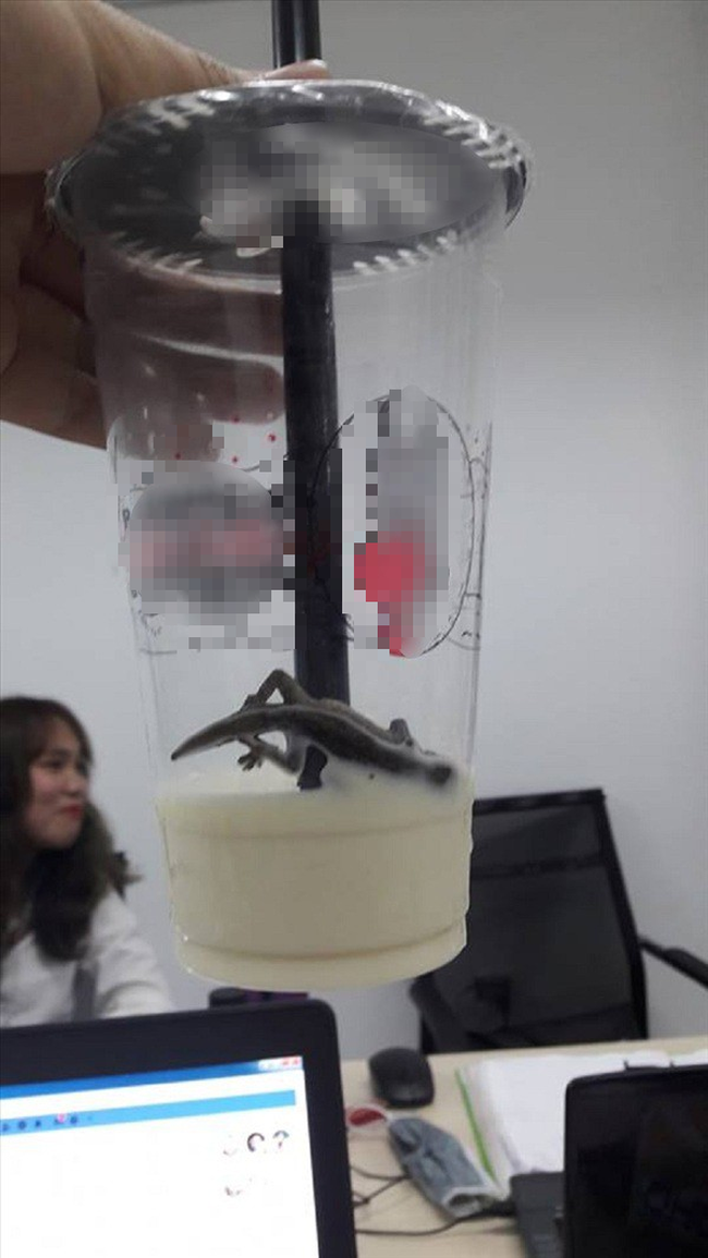 Lại thêm một thương hiệu trà sữa nổi tiếng bị khách hàng tố có 'topping thạch sùng nguyên con'? - 3 Lại thêm một thương hiệu trà sữa nổi tiếng bị khách hàng tố có 'topping thạch sùng nguyên con'? - 3