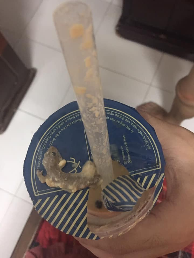 Lại thêm một thương hiệu trà sữa nổi tiếng bị khách hàng tố có 'topping thạch sùng nguyên con'? Lại thêm một thương hiệu trà sữa nổi tiếng bị khách hàng tố có 'topping thạch sùng nguyên con'?