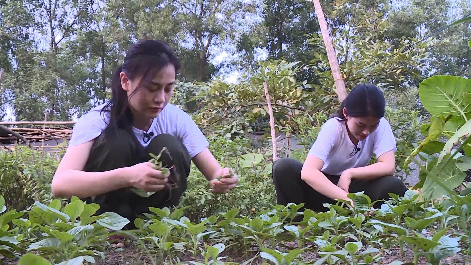 Mỹ nhân hành động: 'Quỳnh Búp Bê' Phương Oanh bức xúc, kêu gào vì bị hành xác quá cực khổ - 3 Mỹ nhân hành động: 'Quỳnh Búp Bê' Phương Oanh bức xúc, kêu gào vì bị hành xác quá cực khổ - 3