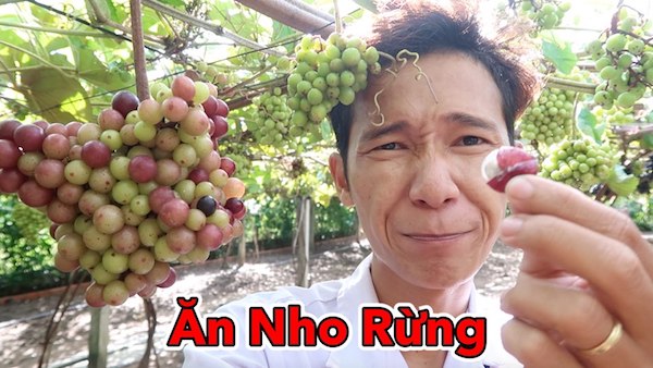Lâm Vlog chuyên làm clip ăn uống đúng 12 giờ đêm: Thế mạnh của người khác là ngoại hình, thế mạnh của mình là sự khác lạ - 2 Lâm Vlog chuyên làm clip ăn uống đúng 12 giờ đêm: Thế mạnh của người khác là ngoại hình, thế mạnh của mình là sự khác lạ - 2