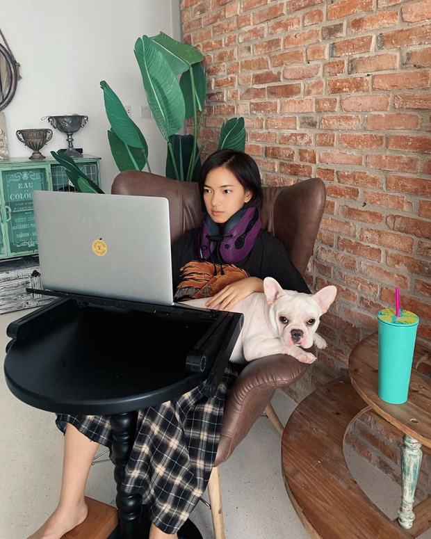 'Dăm ba' thứ nổi tiếng của YouTuber, hot girl với streamer Việt: Sang chảnh ở đâu chứ về nhà thì cũng è cổ phục vụ boss thôi! - 6 'Dăm ba' thứ nổi tiếng của YouTuber, hot girl với streamer Việt: Sang chảnh ở đâu chứ về nhà thì cũng è cổ phục vụ boss thôi! - 6