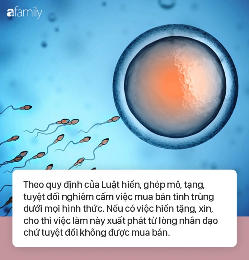 Xuất ngoại tìm 'giống' tốt, mua tinh trùng người nước ngoài để 'sở hữu' con lai đẹp như mơ: Chị em đang phải đối mặt với điều gì? Xuất ngoại tìm 'giống' tốt, mua tinh trùng người nước ngoài để 'sở hữu' con lai đẹp như mơ: Chị em đang phải đối mặt với điều gì?