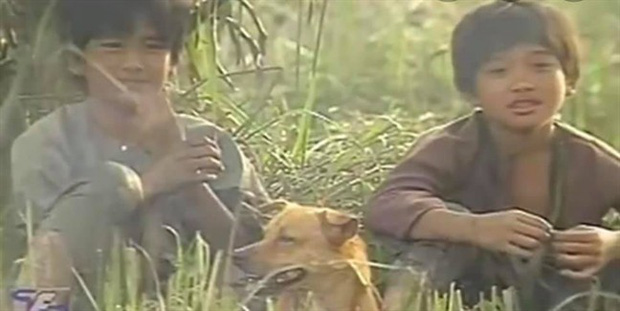 4 em chó ta trên màn ảnh Việt: Nhìn cưng mà diễn tự nhiên, nào có kém cạnh chú 'Shiba Inu' đóng Cậu Vàng? - 2 4 em chó ta trên màn ảnh Việt: Nhìn cưng mà diễn tự nhiên, nào có kém cạnh chú 'Shiba Inu' đóng Cậu Vàng? - 2