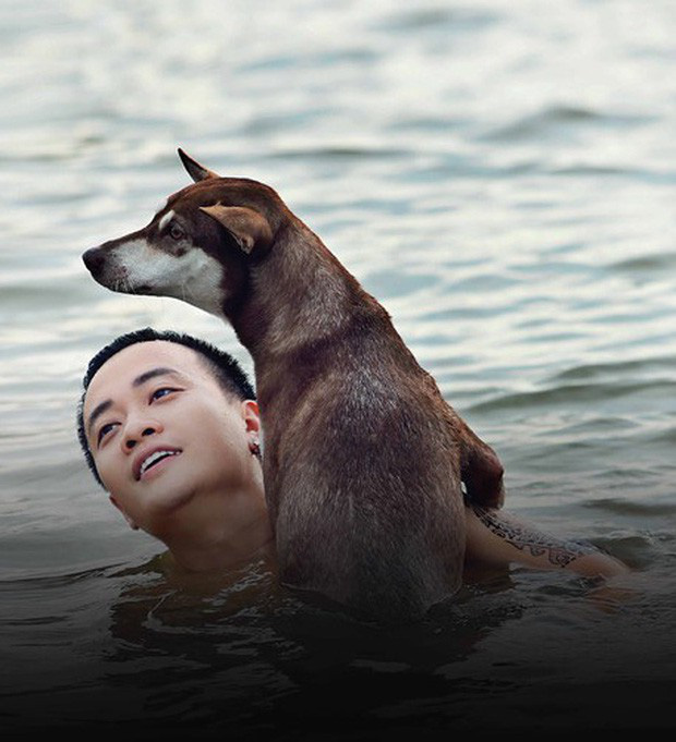 4 em chó ta trên màn ảnh Việt: Nhìn cưng mà diễn tự nhiên, nào có kém cạnh chú 'Shiba Inu' đóng Cậu Vàng? - 6 4 em chó ta trên màn ảnh Việt: Nhìn cưng mà diễn tự nhiên, nào có kém cạnh chú 'Shiba Inu' đóng Cậu Vàng? - 6