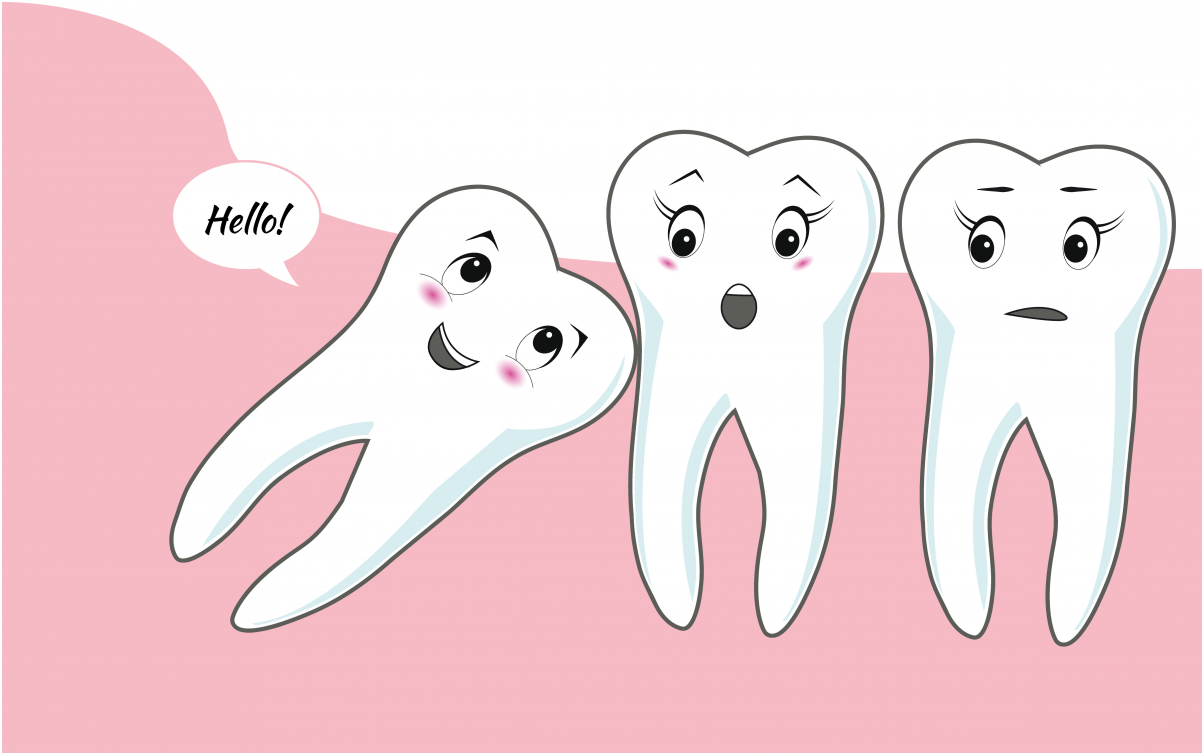 Vì sao mọc ngu lung tung mà lại gọi là răng khôn? Vì sao mọc ngu lung tung mà lại gọi là răng khôn?