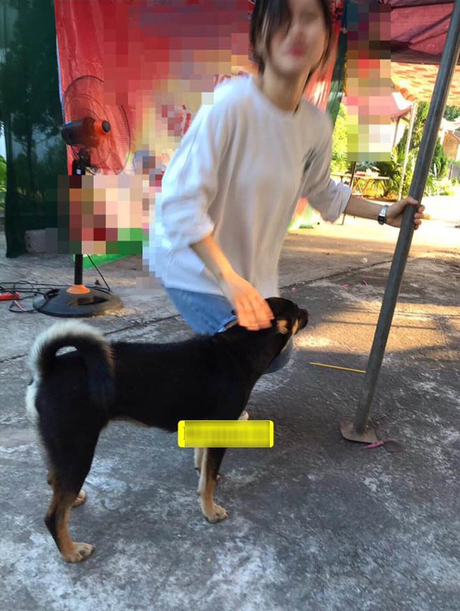 Vừa cưới xong, cô dâu thay váy, bắt taxi về mẹ đẻ đón... chó cưng sang nhà chồng Vừa cưới xong, cô dâu thay váy, bắt taxi về mẹ đẻ đón... chó cưng sang nhà chồng