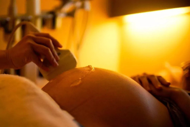 Nhà văn Anh ví việc mang thai như 'một cái bẫy', phụ nữ đã bước vào sẽ không thể thoát ra và trải nghiệm được mất sau khi làm mẹ - 2 Nhà văn Anh ví việc mang thai như 'một cái bẫy', phụ nữ đã bước vào sẽ không thể thoát ra và trải nghiệm được mất sau khi làm mẹ - 2