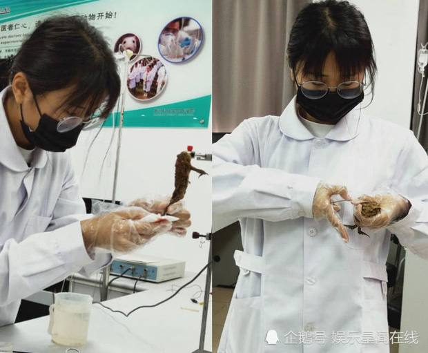 Shock trước cảnh nữ sinh trường Y bóp chặt con ếch đang còn sống trên tay, đứng lên ghế chăm chú nghe giảng thực hành mổ Shock trước cảnh nữ sinh trường Y bóp chặt con ếch đang còn sống trên tay, đứng lên ghế chăm chú nghe giảng thực hành mổ