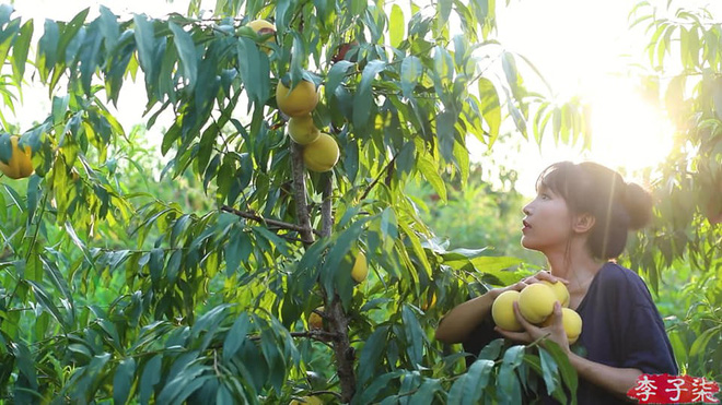 Sự thật về thân thế Lý Tử Thất: Con nhà giàu, tài sản trăm tỷ, cơ ngơi nhiều người ao ước? - 3 Sự thật về thân thế Lý Tử Thất: Con nhà giàu, tài sản trăm tỷ, cơ ngơi nhiều người ao ước? - 3