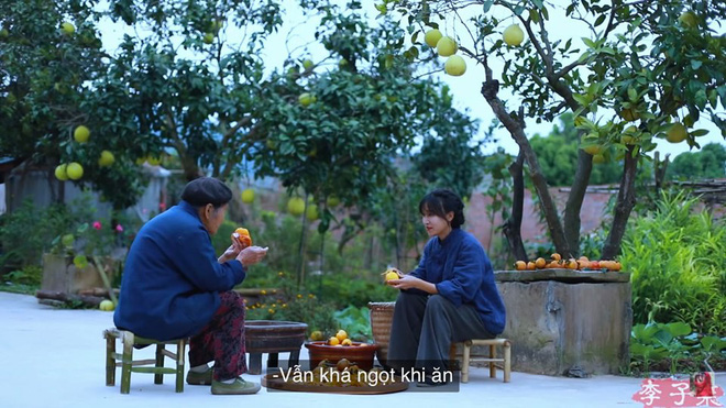 Sự thật về thân thế Lý Tử Thất: Con nhà giàu, tài sản trăm tỷ, cơ ngơi nhiều người ao ước? - 4 Sự thật về thân thế Lý Tử Thất: Con nhà giàu, tài sản trăm tỷ, cơ ngơi nhiều người ao ước? - 4
