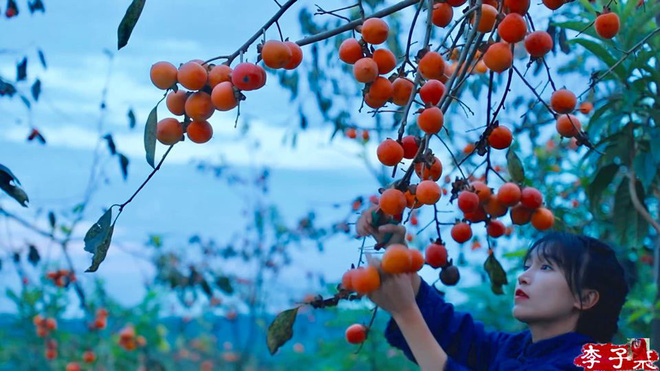 Sự thật về thân thế Lý Tử Thất: Con nhà giàu, tài sản trăm tỷ, cơ ngơi nhiều người ao ước? - 6 Sự thật về thân thế Lý Tử Thất: Con nhà giàu, tài sản trăm tỷ, cơ ngơi nhiều người ao ước? - 6