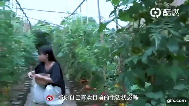 Sự thật về thân thế Lý Tử Thất: Con nhà giàu, tài sản trăm tỷ, cơ ngơi nhiều người ao ước? - 12 Sự thật về thân thế Lý Tử Thất: Con nhà giàu, tài sản trăm tỷ, cơ ngơi nhiều người ao ước? - 12