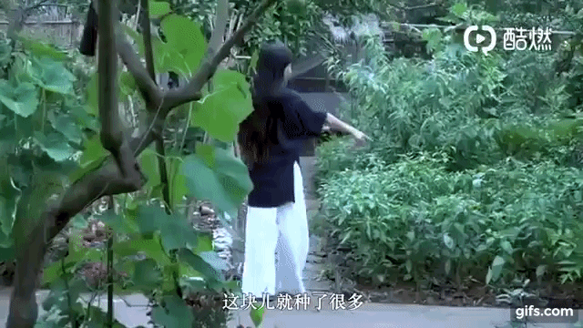 Sự thật về thân thế Lý Tử Thất: Con nhà giàu, tài sản trăm tỷ, cơ ngơi nhiều người ao ước? - 11 Sự thật về thân thế Lý Tử Thất: Con nhà giàu, tài sản trăm tỷ, cơ ngơi nhiều người ao ước? - 11