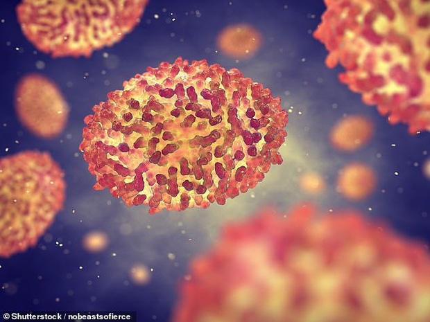 Nổ khí ga tại phòng thí nghiệm lưu trữ virus bệnh đậu mùa, Ebola và HIV khiến người dân Nga hoảng loạn - 2 Nổ khí ga tại phòng thí nghiệm lưu trữ virus bệnh đậu mùa, Ebola và HIV khiến người dân Nga hoảng loạn - 2