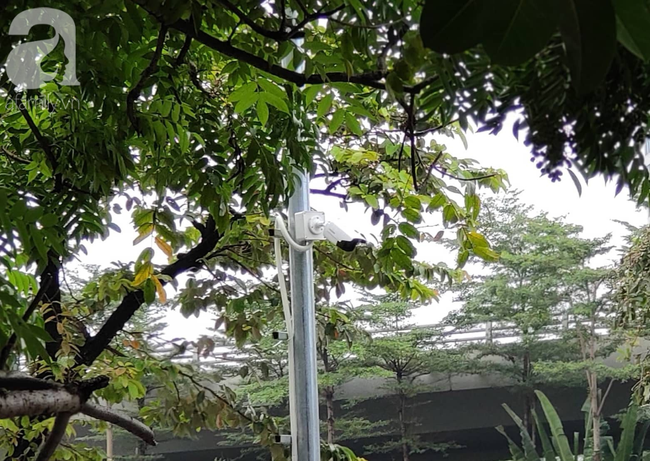 Hà Nội: Đàn cá Koi lờ đờ, thêm 3 con chết ngửa bụng trong bể xử lý nước ở sông Tô Lịch - 9 Hà Nội: Đàn cá Koi lờ đờ, thêm 3 con chết ngửa bụng trong bể xử lý nước ở sông Tô Lịch - 9