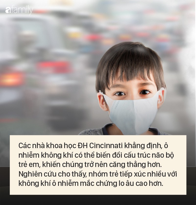 Tiếp xúc với không khí bị ô nhiễm, trẻ em có nguy cơ cao gặp phải những rủi ro đáng tiếc cả đời thế này - 5 Tiếp xúc với không khí bị ô nhiễm, trẻ em có nguy cơ cao gặp phải những rủi ro đáng tiếc cả đời thế này - 5