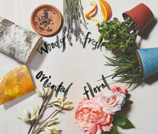 Cùng dùng nước hoa, người thơm tho thanh lịch, kẻ 'nồng nặc' kém duyên bởi chưa biết những bí quyết này - 1 Cùng dùng nước hoa, người thơm tho thanh lịch, kẻ 'nồng nặc' kém duyên bởi chưa biết những bí quyết này - 1