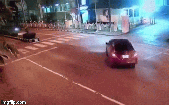 Clip: Chạy với tốc độ kinh hoàng, xe máy tông thẳng vào ô tô, người văng xa chục mét Clip: Chạy với tốc độ kinh hoàng, xe máy tông thẳng vào ô tô, người văng xa chục mét