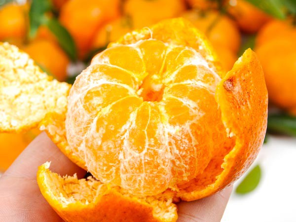 Những thực phẩm giúp ngăn ngừa ung thư phổi hiệu quả - 1 Những thực phẩm giúp ngăn ngừa ung thư phổi hiệu quả - 1