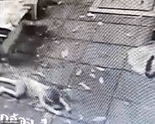 Ở nhà 1 mình, bé trai 4 tuổi trèo qua lan can ban công nhà ngã xuống đất từ tầng 10 tạo nên cảnh tượng thót tim Ở nhà 1 mình, bé trai 4 tuổi trèo qua lan can ban công nhà ngã xuống đất từ tầng 10 tạo nên cảnh tượng thót tim