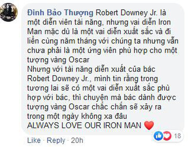 Khán giả ENDGAME sôi máu vì 'Người Sắt' Robert Downey Jr. vắng mặt trong danh sách ứng cử Oscar - 6 Khán giả ENDGAME sôi máu vì 'Người Sắt' Robert Downey Jr. vắng mặt trong danh sách ứng cử Oscar - 6