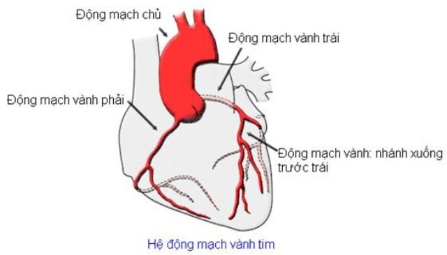 Bác sĩ cảnh báo cơn đau thắt ngực có thể lấy đi tính mạng người dân - 2 Bác sĩ cảnh báo cơn đau thắt ngực có thể lấy đi tính mạng người dân - 2