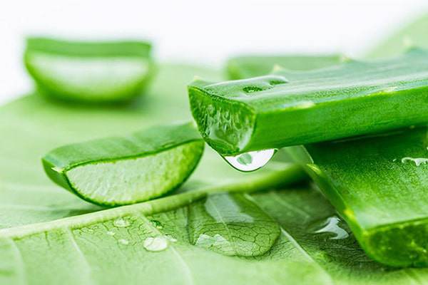 8 công thức mặt nạ đất sét giúp 'lên đời' làn da trong mùa khô hanh - 14 8 công thức mặt nạ đất sét giúp 'lên đời' làn da trong mùa khô hanh - 14
